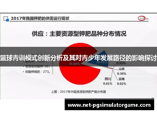 篮球青训模式创新分析及其对青少年发展路径的影响探讨