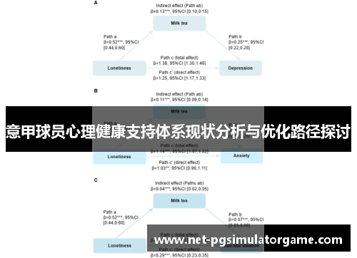 意甲球员心理健康支持体系现状分析与优化路径探讨