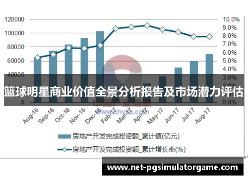 篮球明星商业价值全景分析报告及市场潜力评估