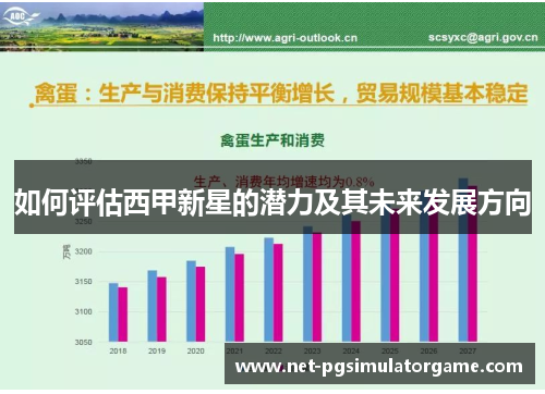 如何评估西甲新星的潜力及其未来发展方向