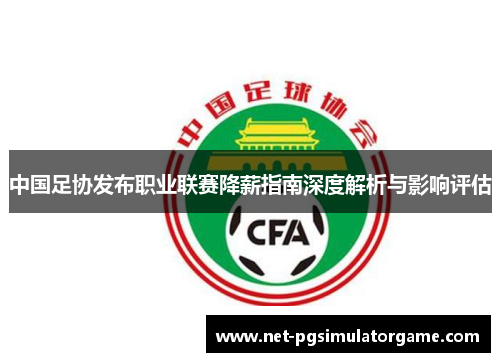 中国足协发布职业联赛降薪指南深度解析与影响评估