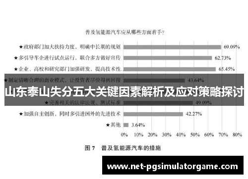 山东泰山失分五大关键因素解析及应对策略探讨