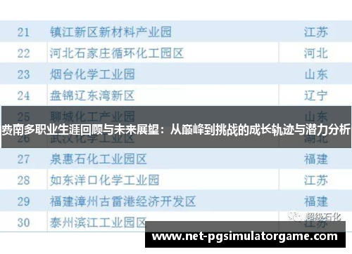 费南多职业生涯回顾与未来展望：从巅峰到挑战的成长轨迹与潜力分析