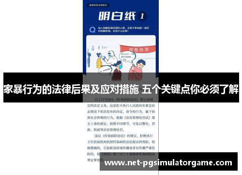 家暴行为的法律后果及应对措施 五个关键点你必须了解