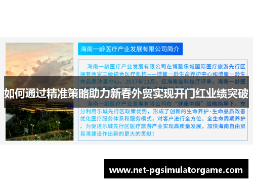如何通过精准策略助力新春外贸实现开门红业绩突破