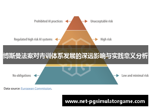 博斯曼法案对青训体系发展的深远影响与实践意义分析