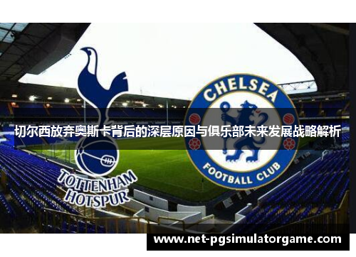 切尔西放弃奥斯卡背后的深层原因与俱乐部未来发展战略解析