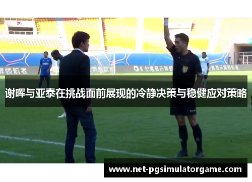 谢晖与亚泰在挑战面前展现的冷静决策与稳健应对策略