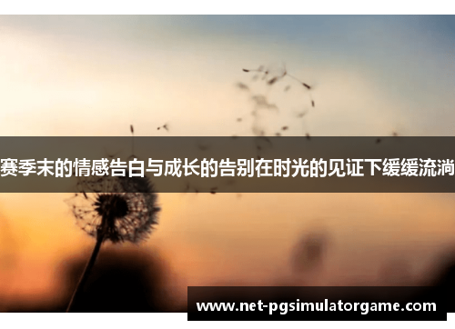 赛季末的情感告白与成长的告别在时光的见证下缓缓流淌