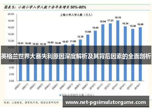 英格兰世界大赛失利原因深度解析及其背后因素的全面剖析